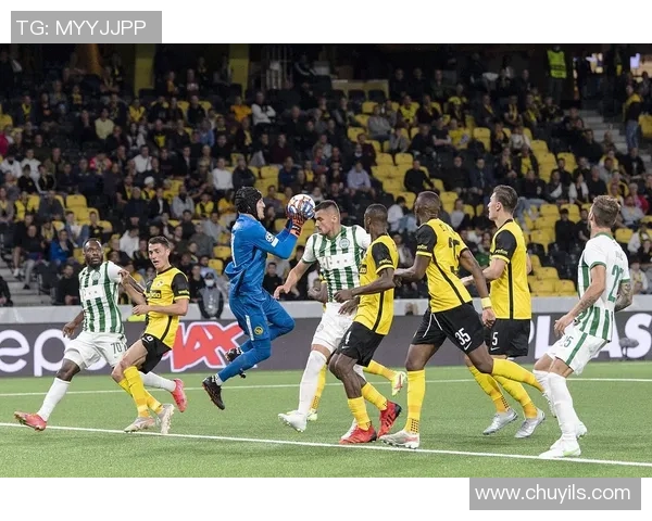 意甲激战：多特蒙德完胜切尔西3-0精彩瞬间回顾与集锦分析